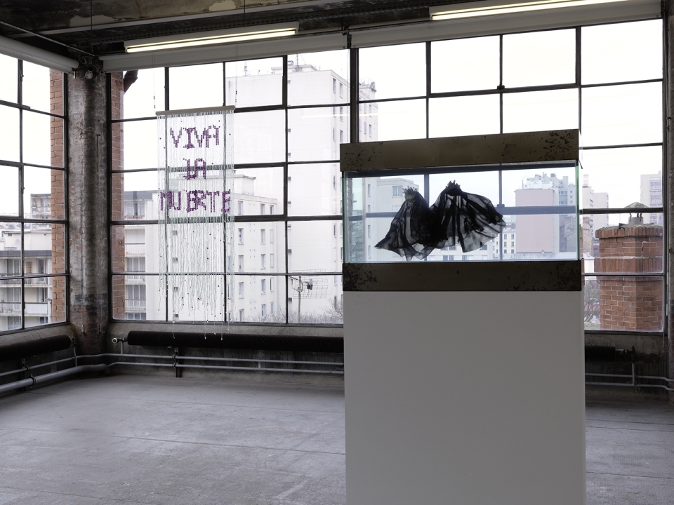 LE CRÉDAC — Bruno Pélassy, Bruno Pélassy