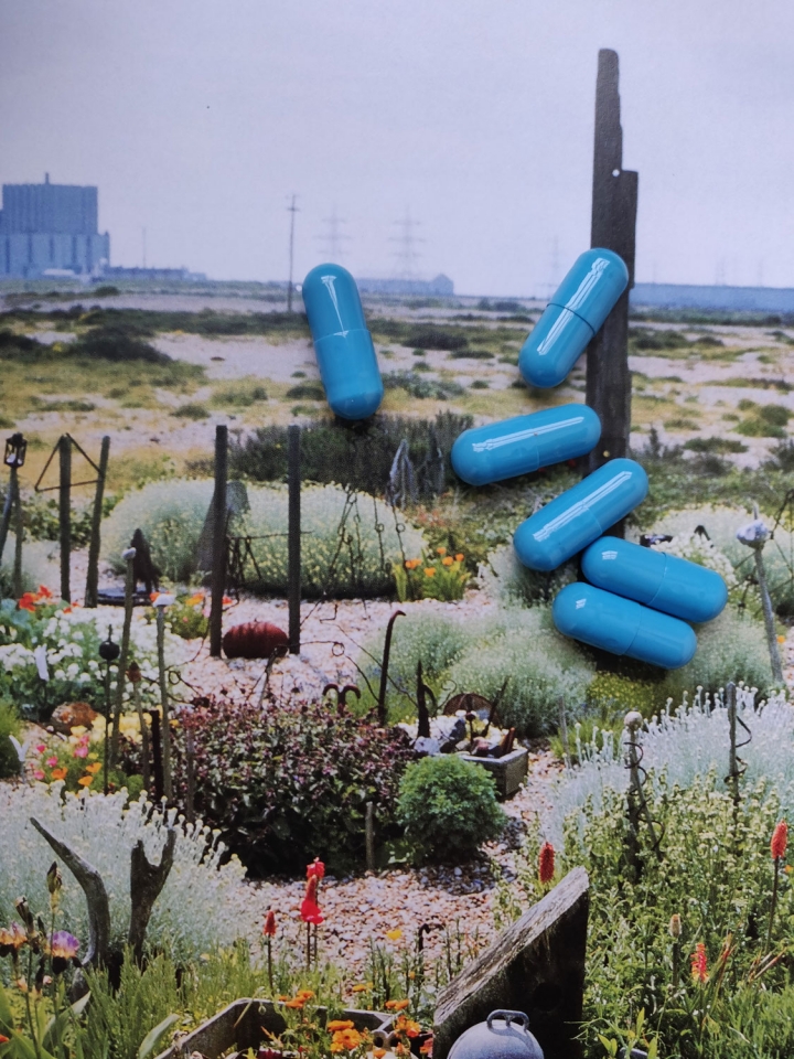 LE CRÉDAC — Dungeness’ Seed Bomb, Benoît Piéron
