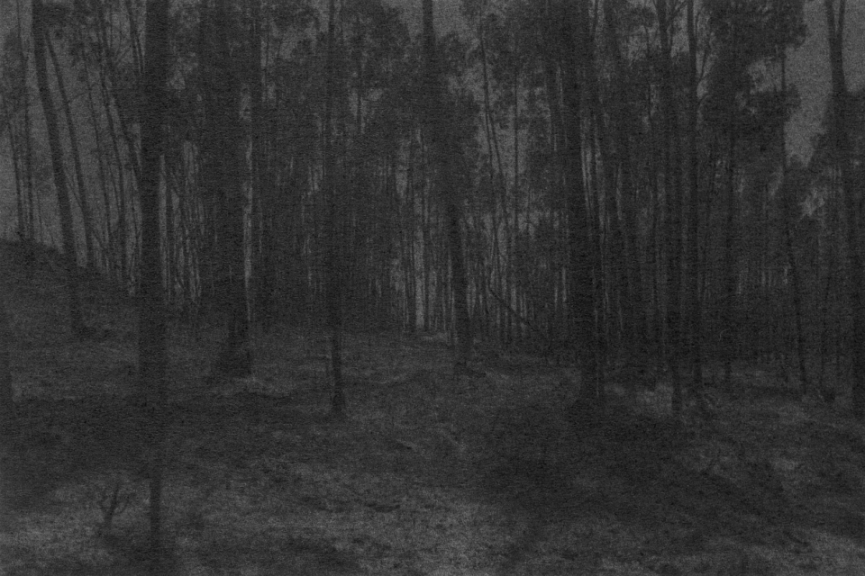 LE CRÉDAC — L’Ennemi déclaré, Dove Allouche