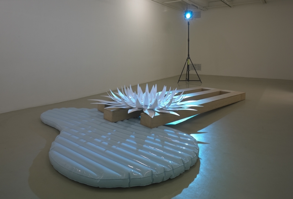 LE CRÉDAC — La belle hypothèse, Delphine Coindet