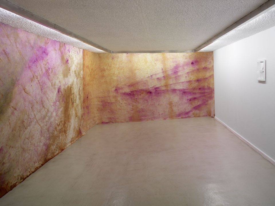 LE CRÉDAC — Land & Sea, Jessica Warboys