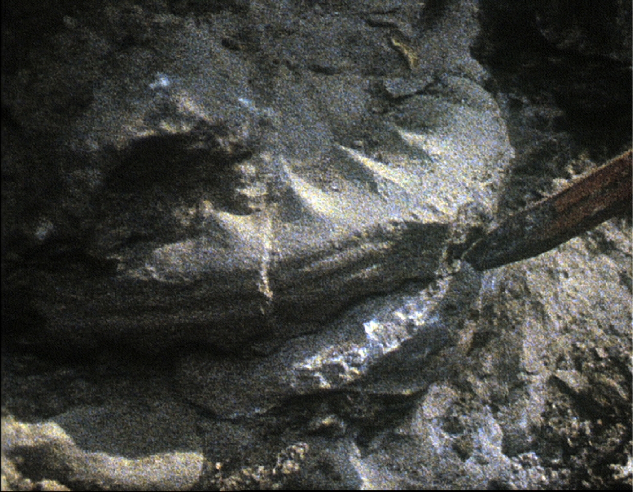 LE CRÉDAC — Crédakino program, Louidgi Beltrame, Jean-Charles Hue, Maria Laet