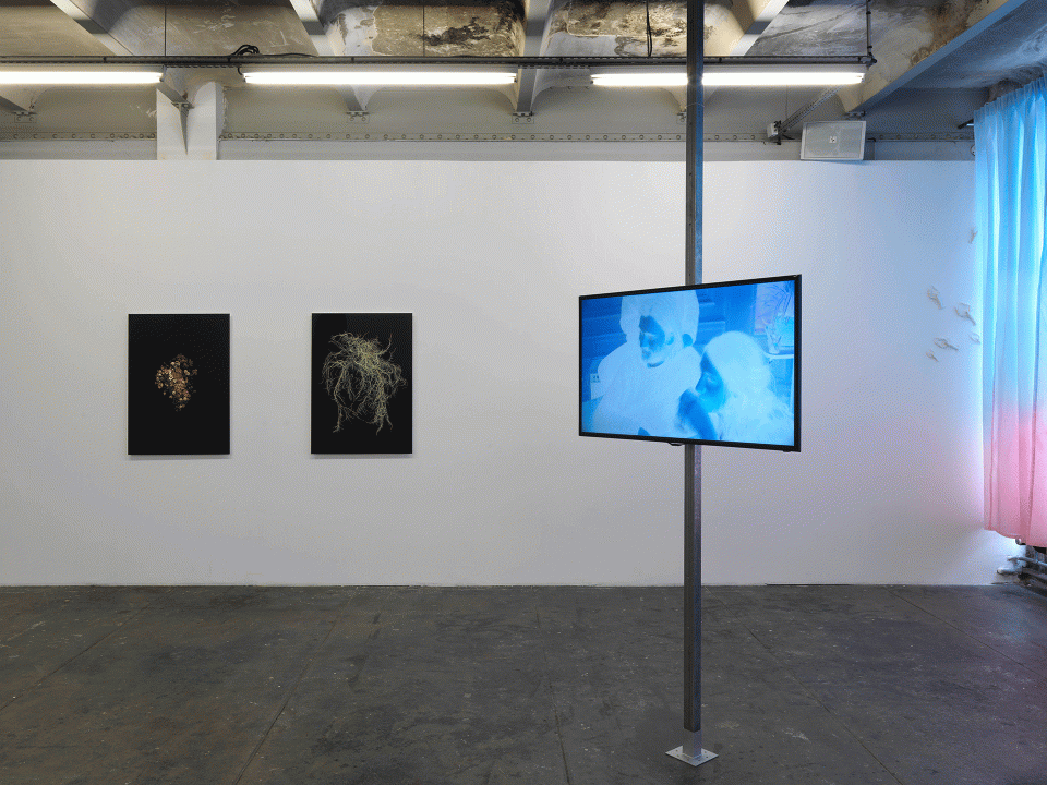 LE CRÉDAC — « Rappelle-toi de la couleur des fraises », Lola Gonzàlez