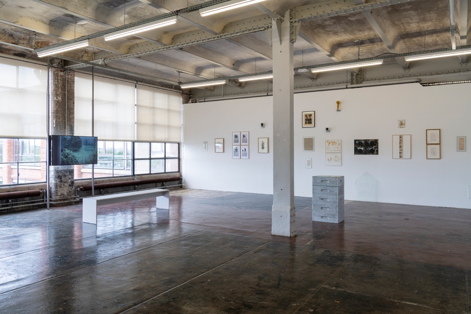 LE CRÉDAC — Sambucus nigra, Pierre Creton