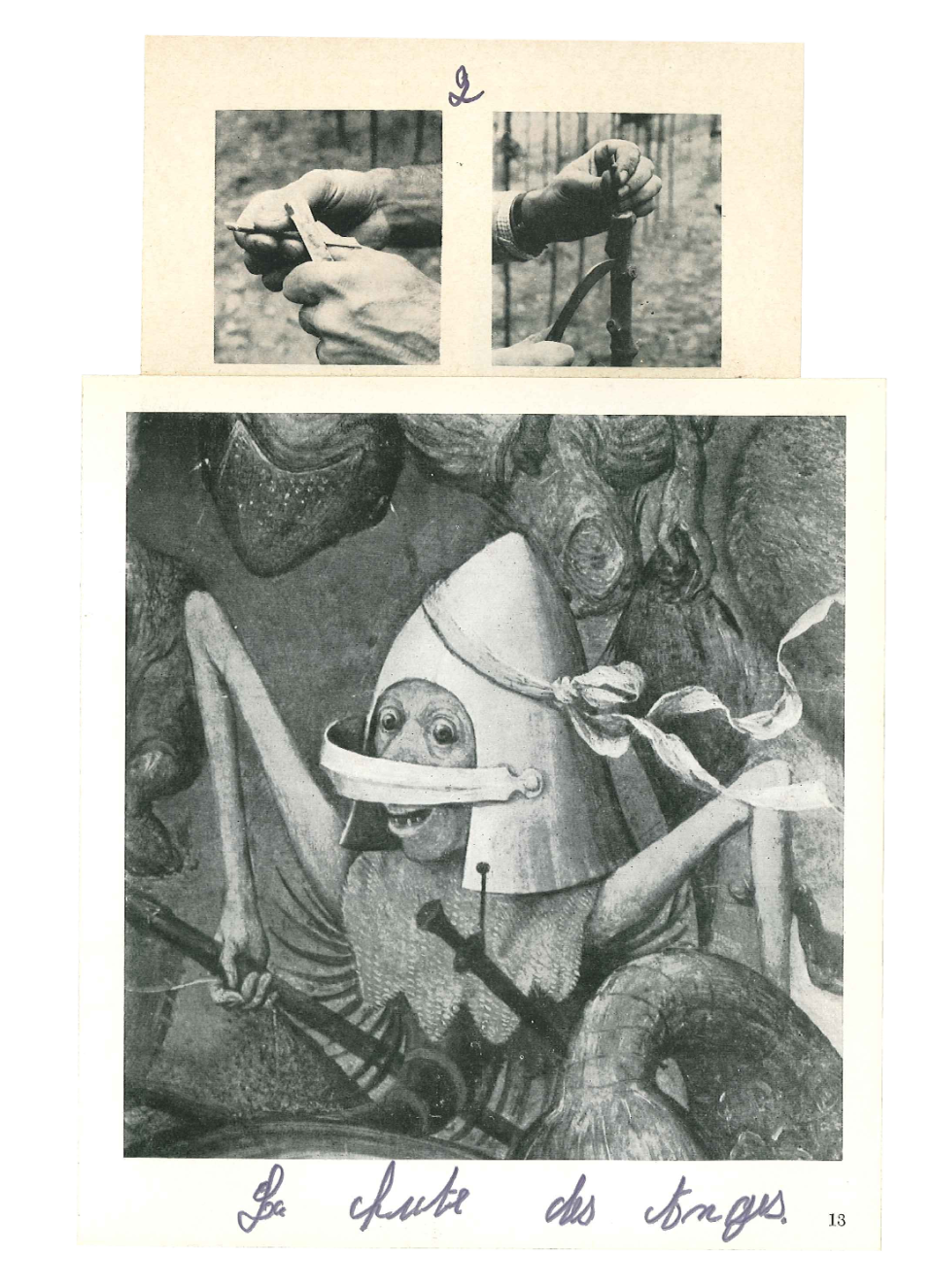 LE CRÉDAC — Sambucus nigra, Pierre Creton